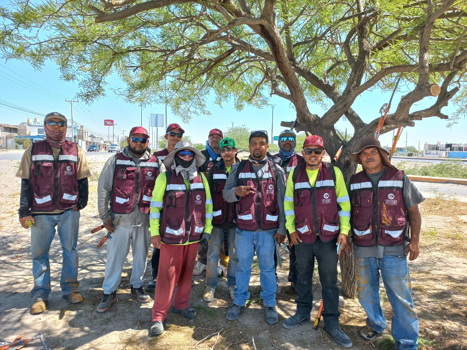 26 voluntarios podaron más de 50 árboles en el bulevar Independencia de Ciudad Juárez - imagen 3