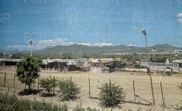 Vinculan a proceso a mujer por ocupar ilegalmente zona federal del arroyo El Salto en Los Cabos - imagen 4