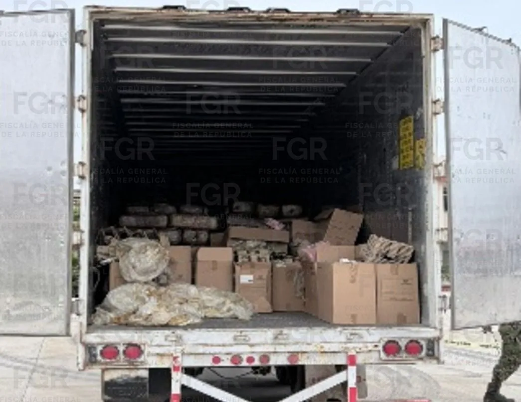 FGR incinera más de 12 toneladas de marihuana en Ensenada, Baja California - imagen 2
