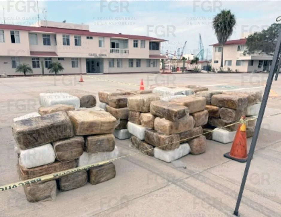 FGR incinera más de 12 toneladas de marihuana en Ensenada, Baja California - imagen 6