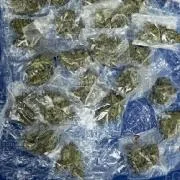 Vinculan a proceso a dos hombres detenidos con armas, marihuana y cristal en Santa María del Río, SLP - imagen 1