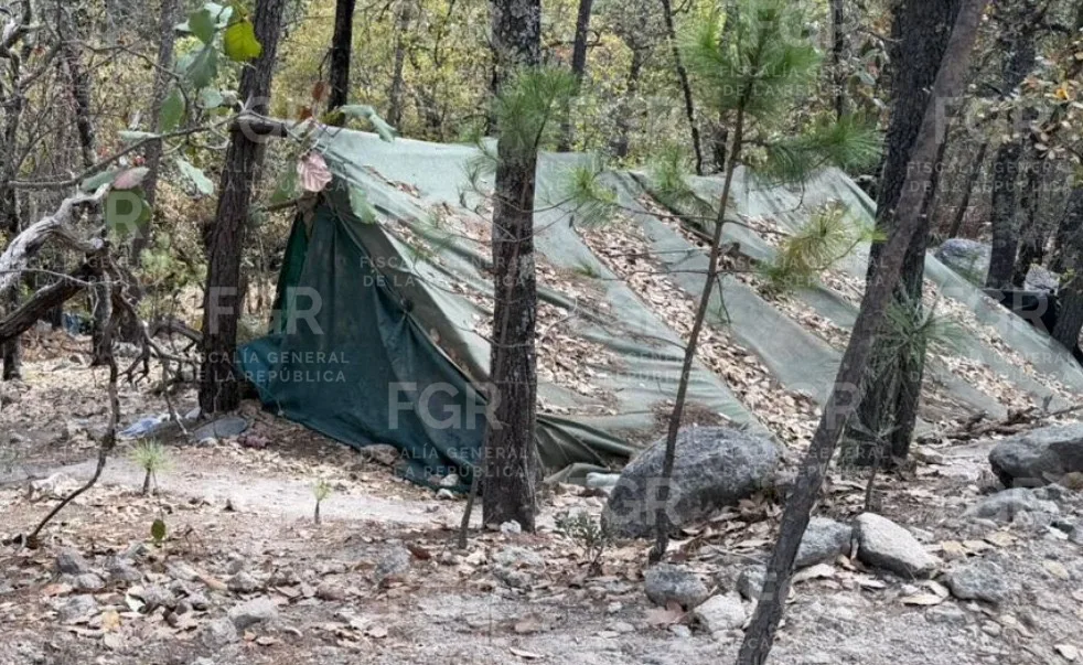 FGR investiga laboratorio clandestino de drogas sintéticas en Chihuahua y entrevista a militares vinculados al hallazgo - imagen 32