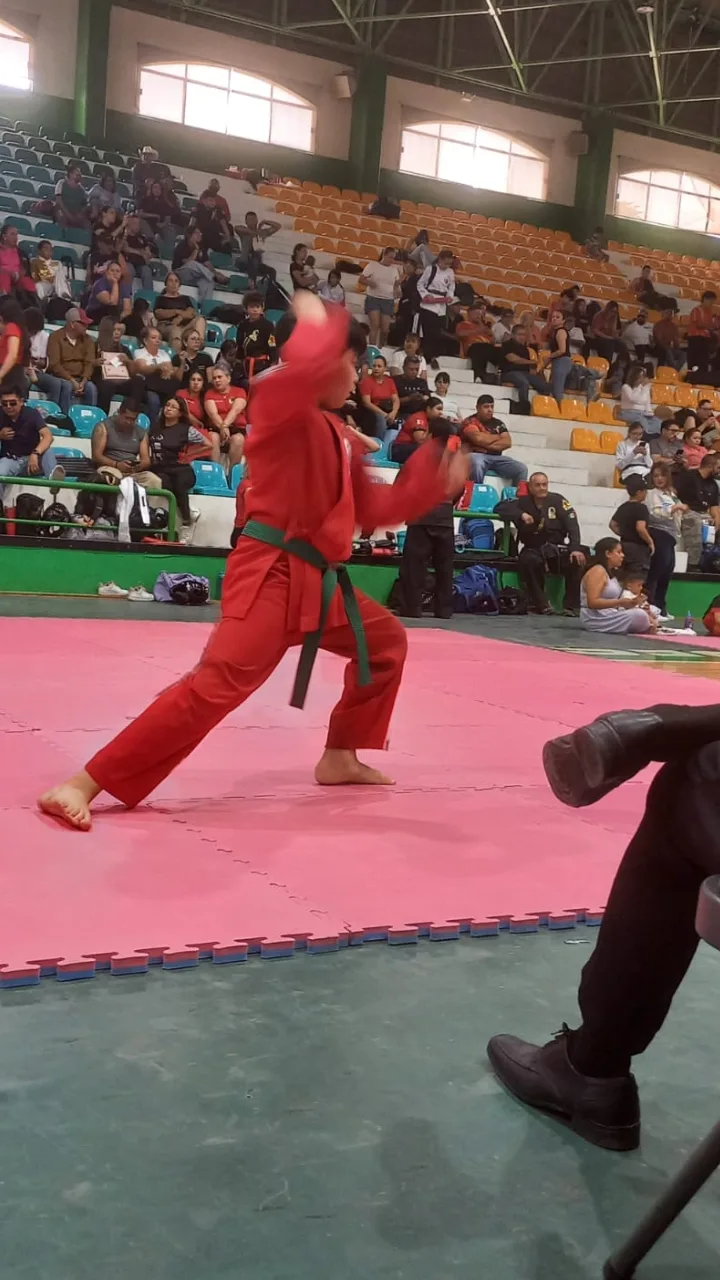 Delegación de Ciudad Juárez gana 48 medallas en el torneo Nacional Xinju celebrado en Chihuahua - imagen 2