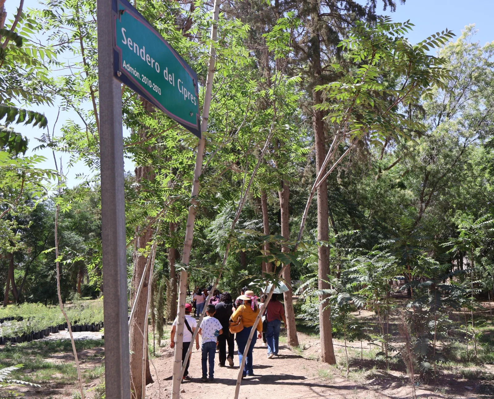 Alumnos de primaria visitan el vivero de El Chamizal para aprender sobre composta y producción de plantas - imagen 5