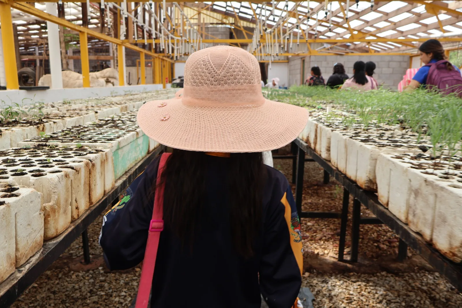 Alumnos de primaria visitan el vivero de El Chamizal para aprender sobre composta y producción de plantas - imagen 8