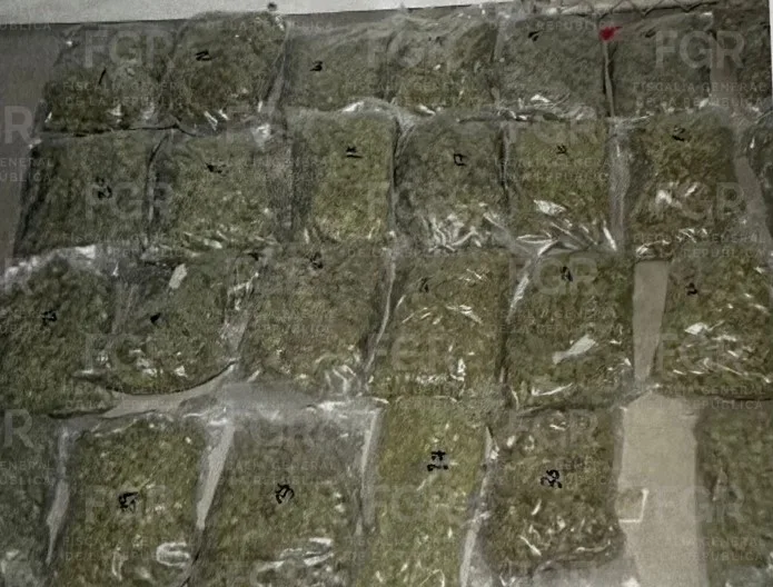 Vinculan a proceso a hombre detenido con 66 kilos de marihuana en carretera de San Luis Potosí - imagen 4