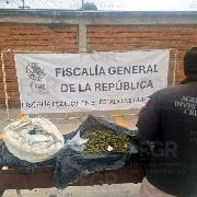 FGR incinera más de 14 kilos de droga en Durango vinculados a carpetas de investigación - imagen 3