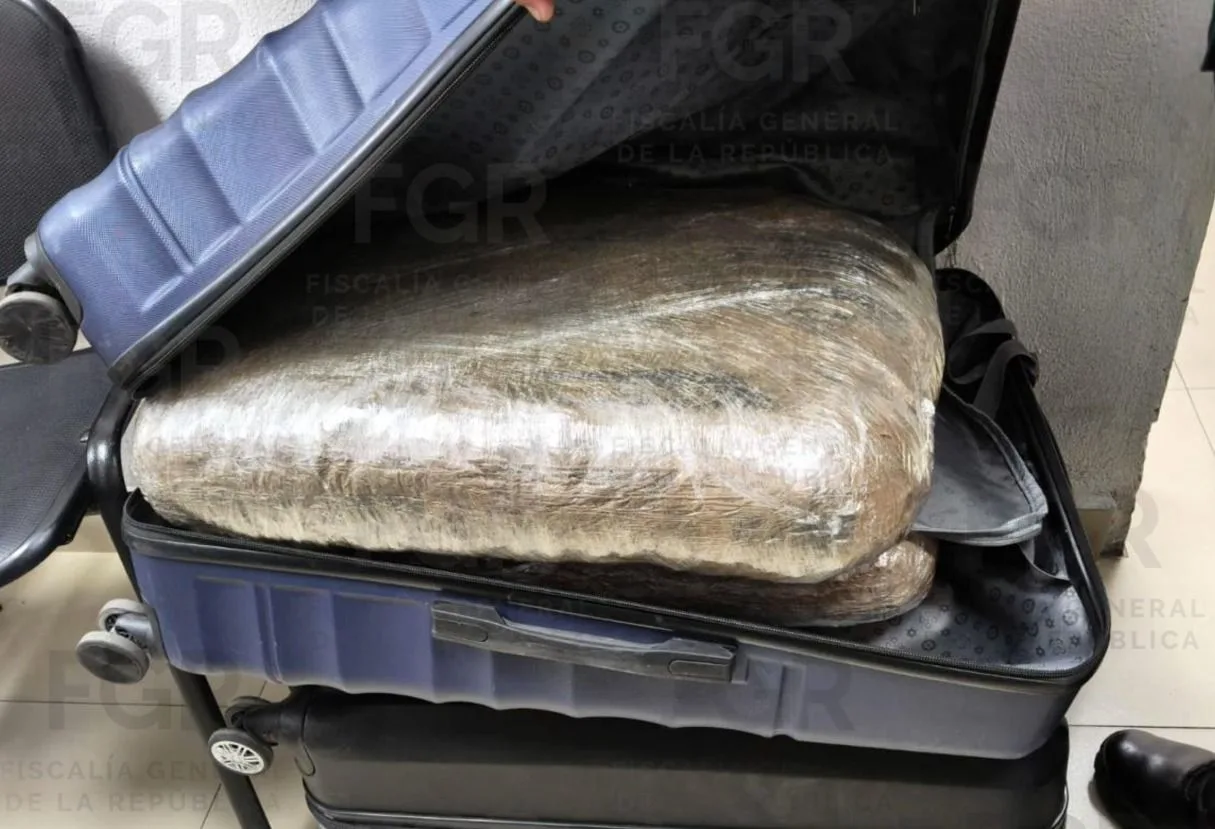 Detienen a hombre con casi 34 kilos de droga en la TAPO; juez lo vincula a proceso - imagen 8
