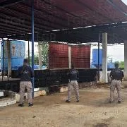 FGR asegura más de 256 mil litros de hidrocarburo y detiene a 12 personas en Tihuatlán, Veracruz - imagen 19