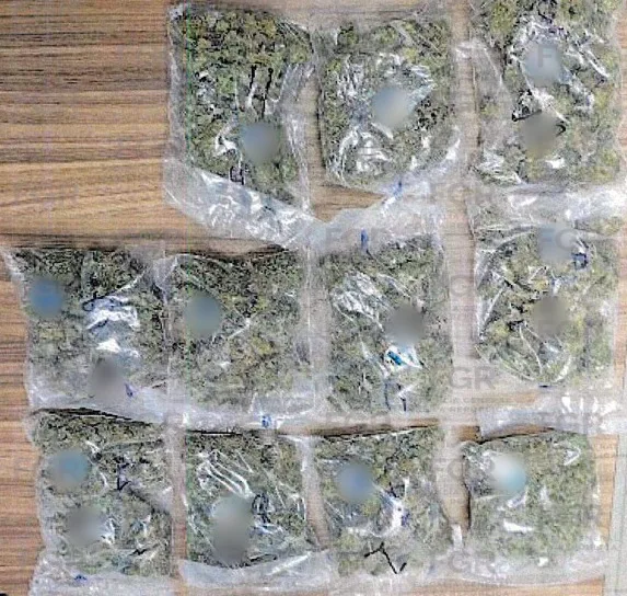 Sentencia condenatoria en Tepic por posesión de drogas con fines de venta - imagen 6
