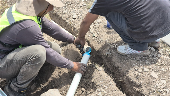 Chihuahua refuerza su imagen urbana con nuevo sistema de riego y reforestación en el talud Homero - imagen 4