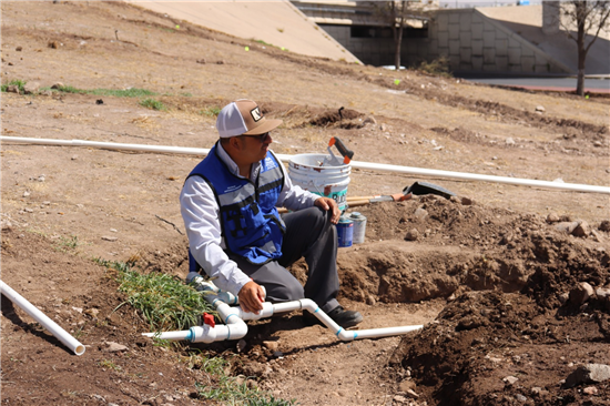 Chihuahua refuerza su imagen urbana con nuevo sistema de riego y reforestación en el talud Homero - imagen 5
