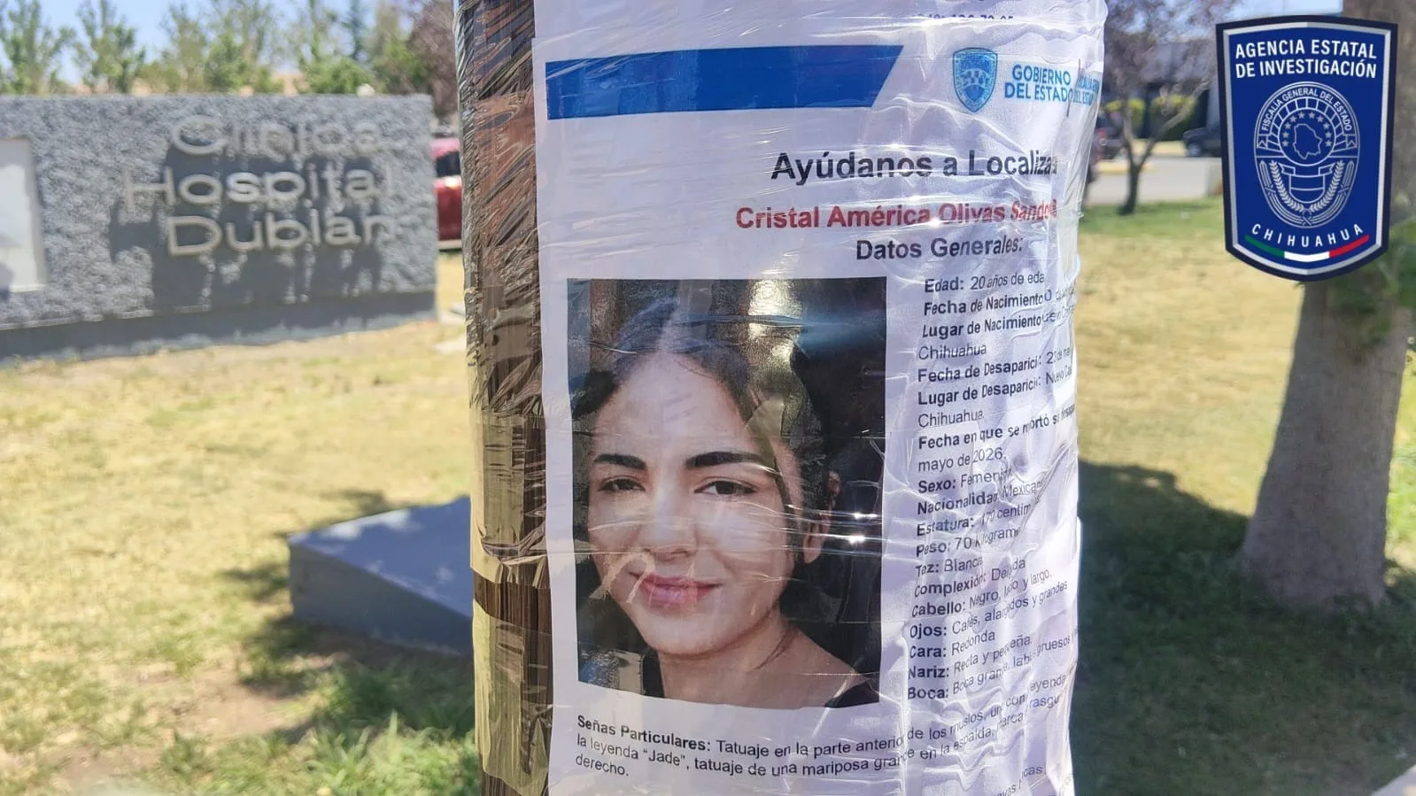 Operativo en Casas Grandes busca a dos personas desaparecidas en Nuevo Casas Grandes - imagen 3