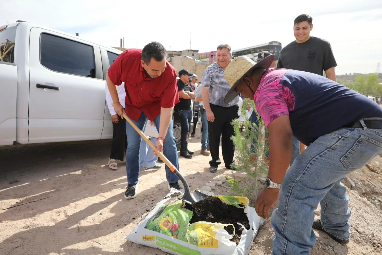 Juárez refuerza limpieza y reforestación en colonia Juanita Luna - imagen 2