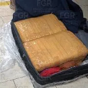FGR en Jalisco asegura 28 kilos de marihuana y 2 kilos de metanfetamina en operativo en Zapopan - imagen 5