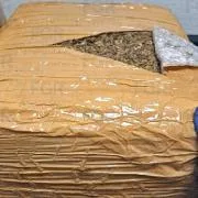 FGR en Jalisco asegura 28 kilos de marihuana y 2 kilos de metanfetamina en operativo en Zapopan - imagen 7