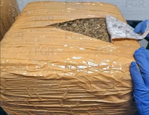 FGR en Jalisco asegura 28 kilos de marihuana y 2 kilos de metanfetamina en operativo en Zapopan - imagen 6