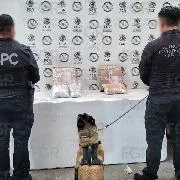 FGR incauta más de un kilo de marihuana en paquete en Morelia - imagen 1