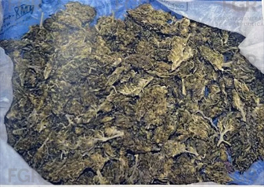 Sentencia de más de siete años de prisión para mujer detenida con arma y marihuana en Puebla