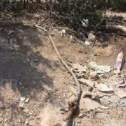 Sentencian a dos personas a 12 años de prisión por sustracción ilícita de hidrocarburo en Nuevo León - imagen 9