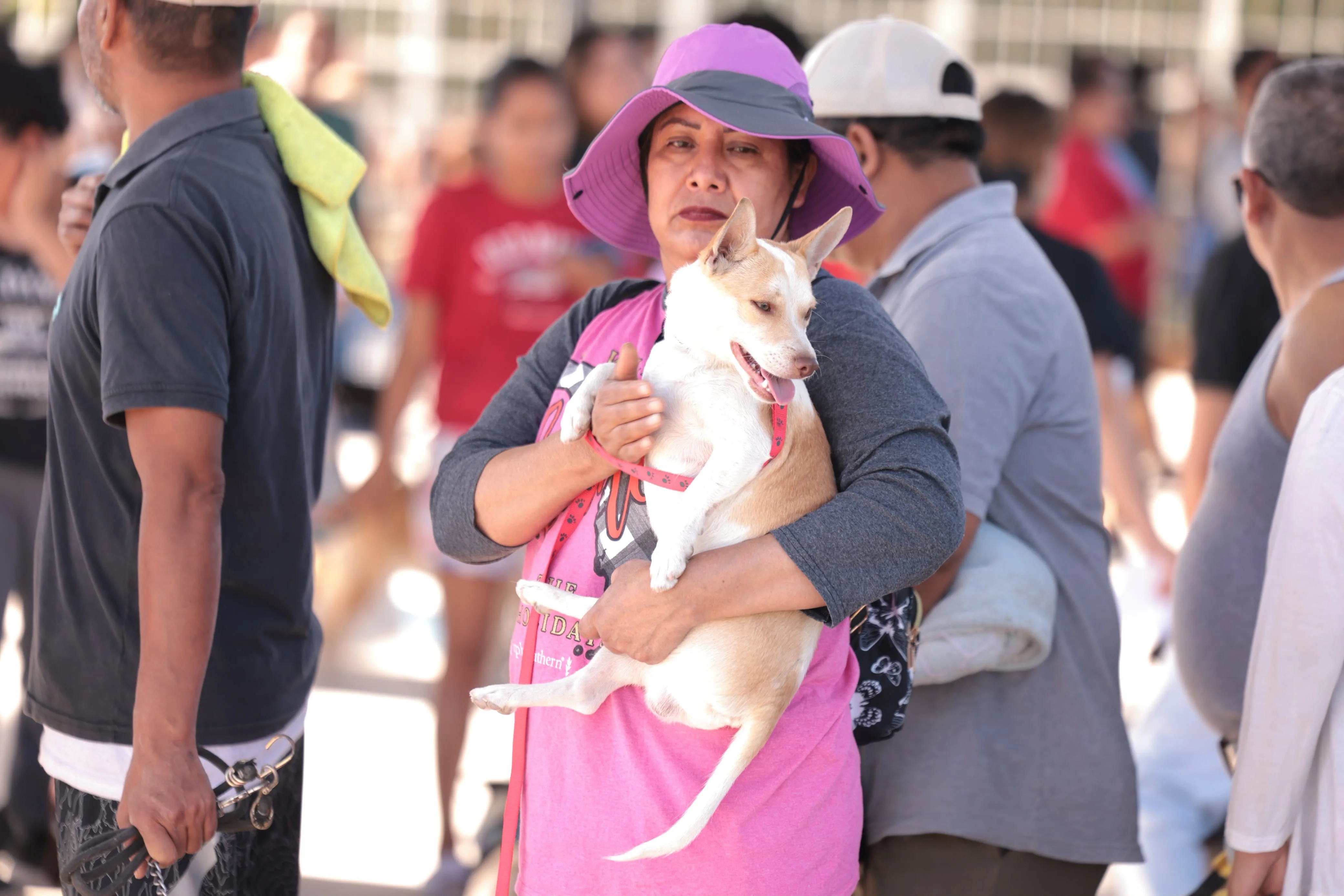 DABA realiza campaña gratuita de esterilización en Riberas del Bravo con 380 procedimientos programados - imagen 2