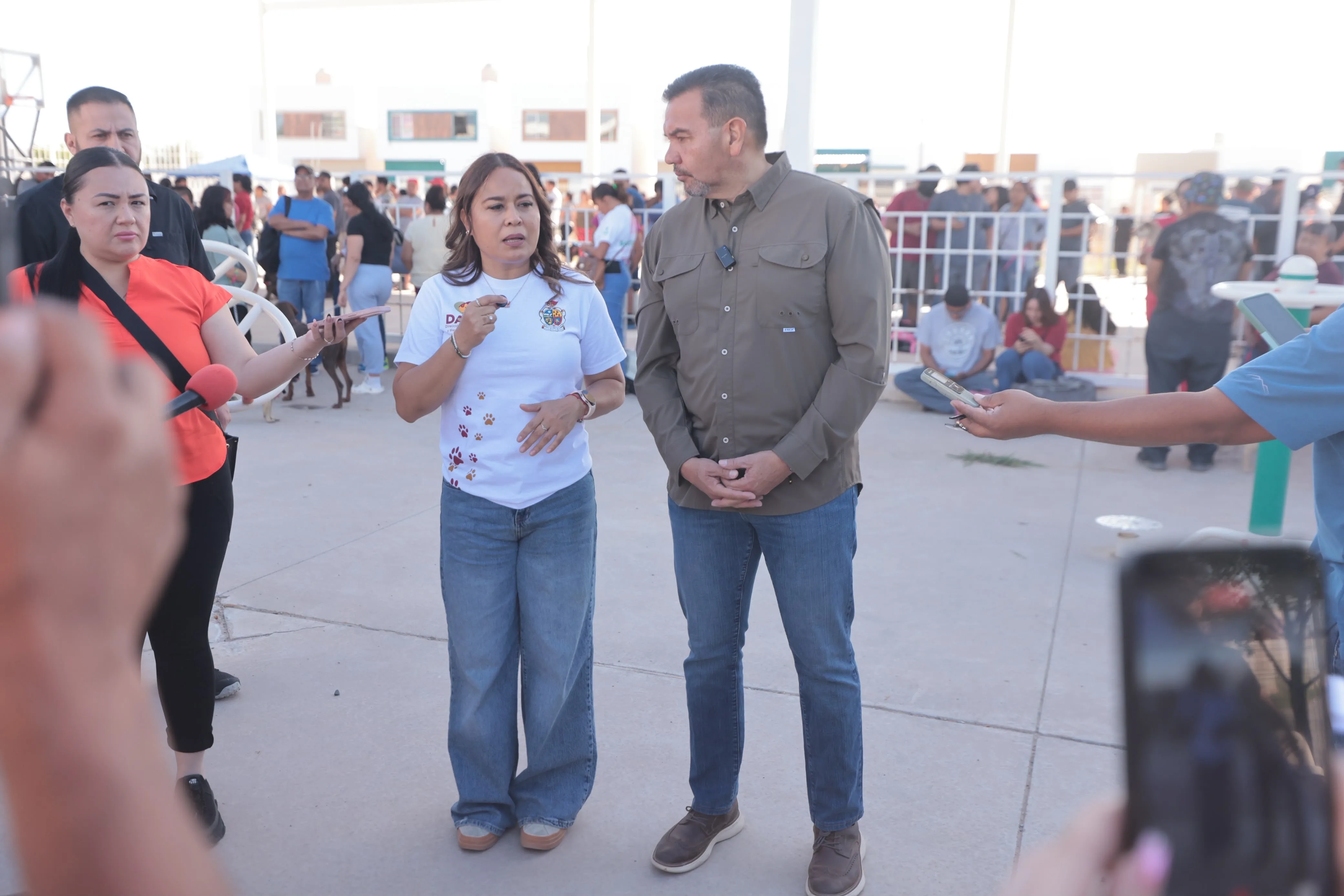 DABA realiza campaña gratuita de esterilización en Riberas del Bravo con 380 procedimientos programados - imagen 6
