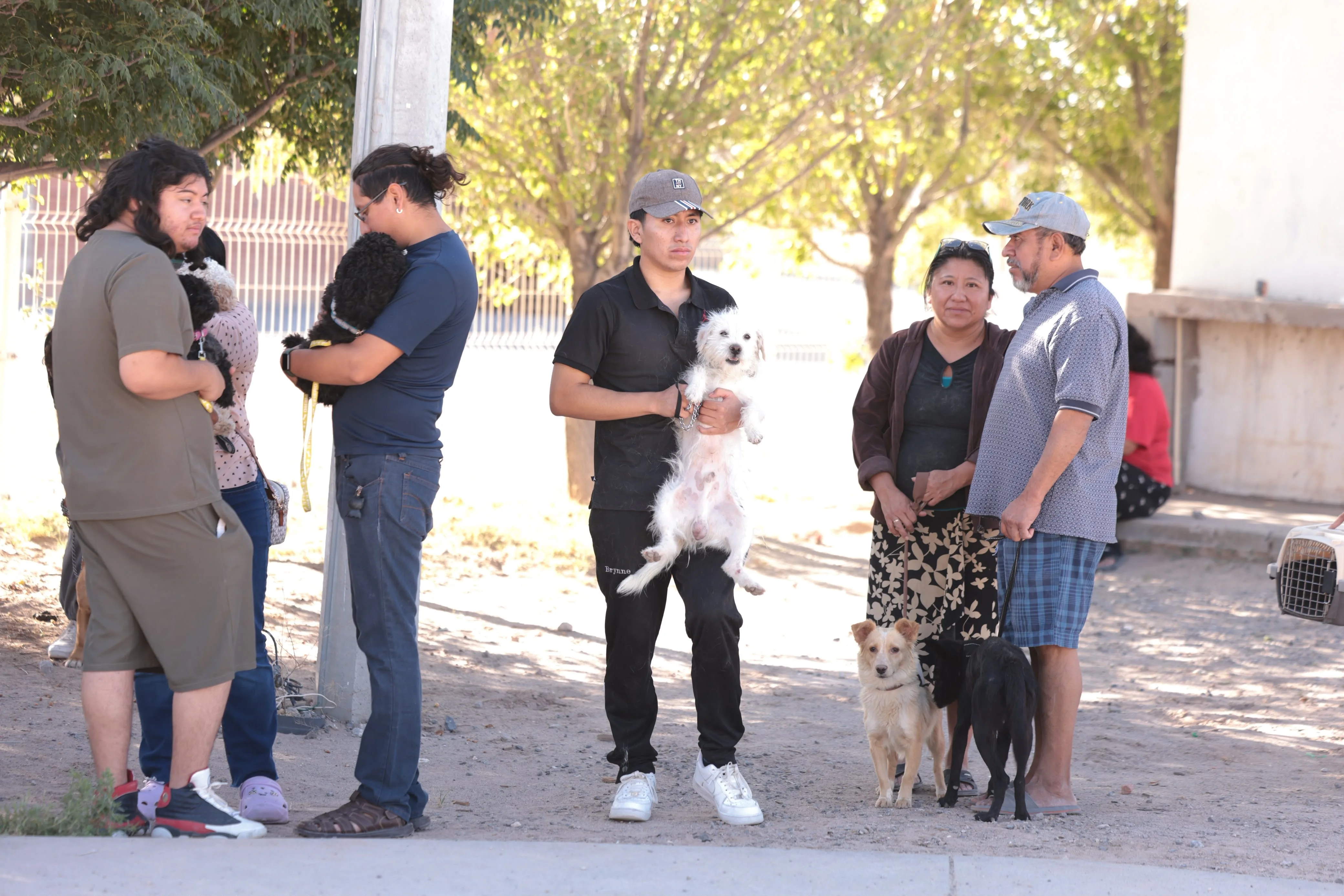 DABA realiza campaña gratuita de esterilización en Riberas del Bravo con 380 procedimientos programados - imagen 11
