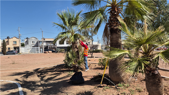 Gobierno Municipal y Walmart realizan jornada de limpieza en parques de Chihuahua - imagen 4