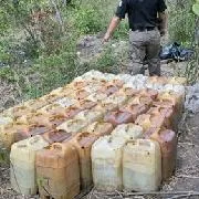 FGR asegura más de 4,500 litros de hidrocarburo en Veracruz durante operativo contra delitos relacionados con combustible - imagen 5