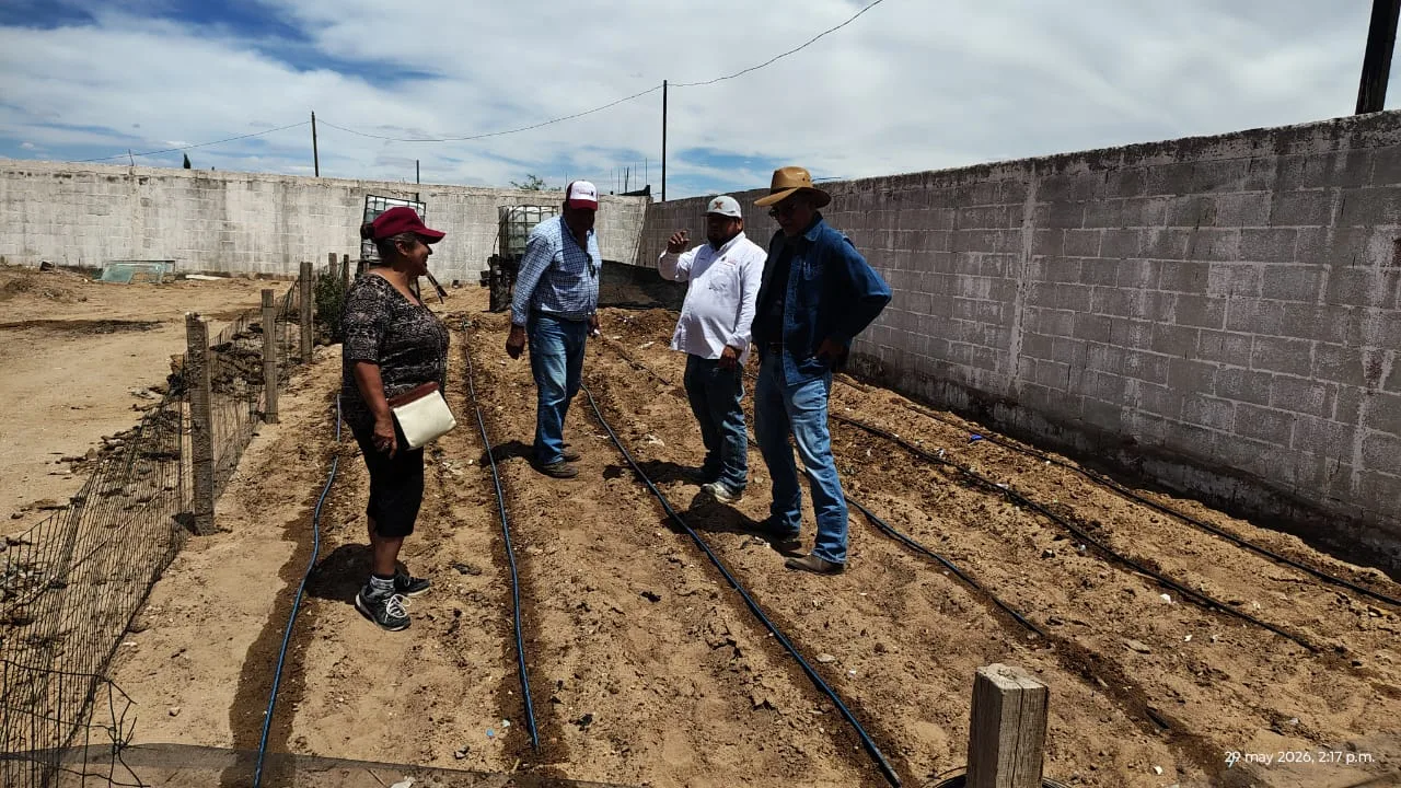 Desarrollo Rural planea expandir huertos familiares en comedores infantiles de Los Kilómetros para 2027 - imagen 3