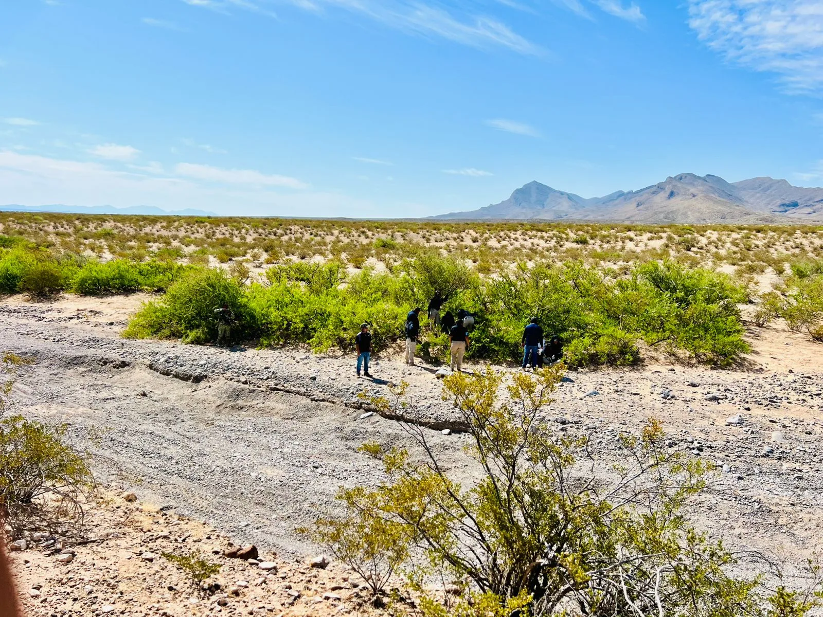 Continúa la búsqueda de Esmeralda Castillo Rincón en Arroyo del Navajo, en el Valle de Juárez - imagen 3
