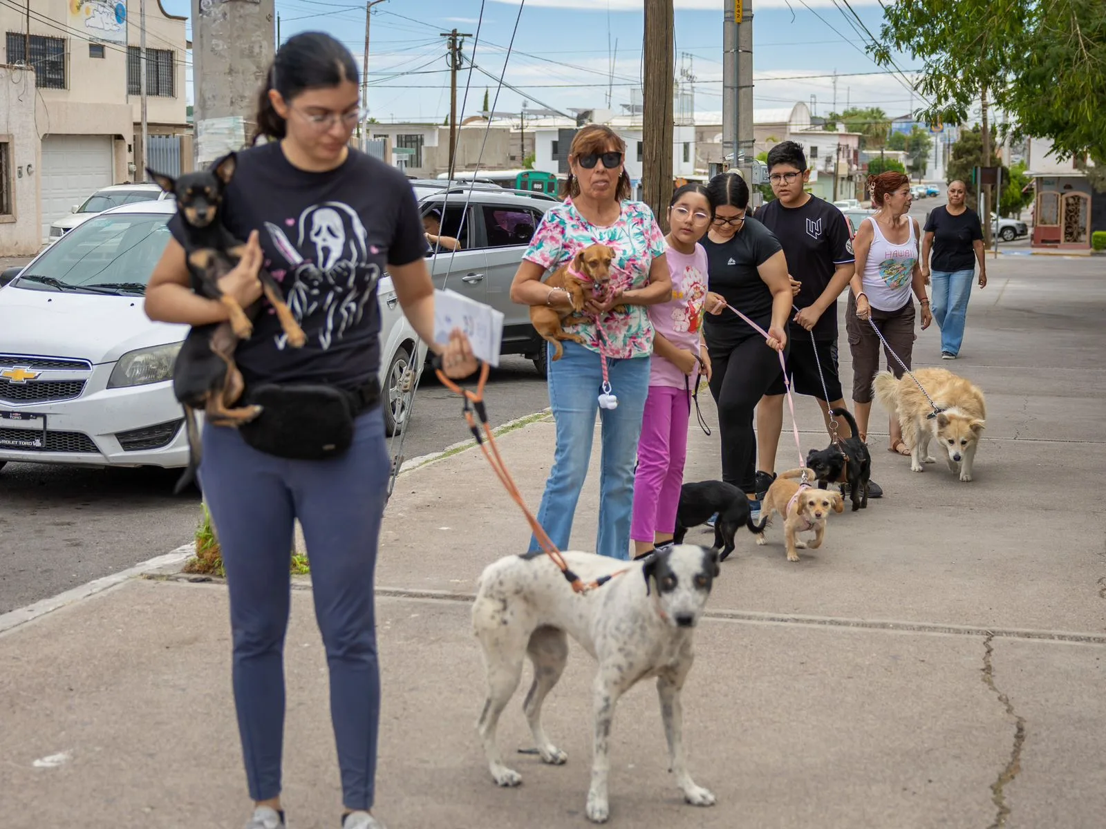 Delicias refuerza campaña de vacunación antirrábica con participación masiva y visitas a zonas rurales