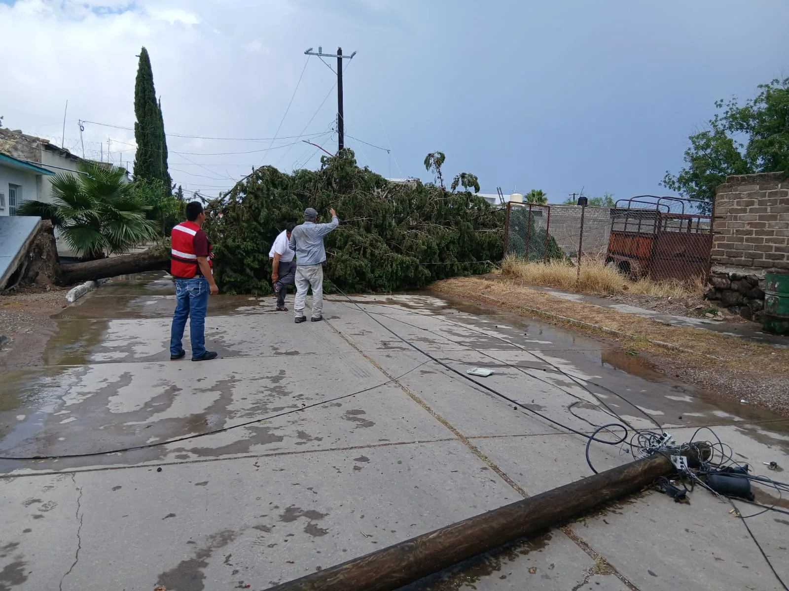 Protección Civil atiende 28 incidencias por lluvias en Chihuahua; Juárez concentra la mayoría de los reportes - imagen 2