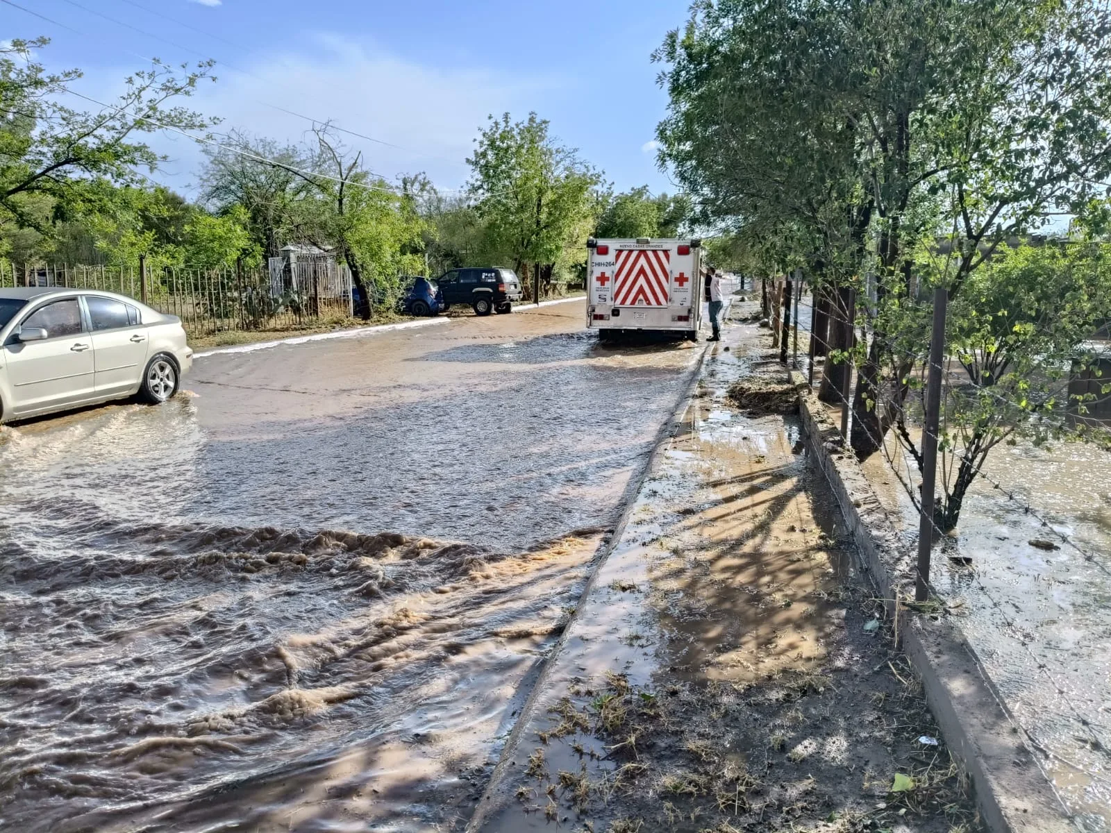 Protección Civil atiende 28 incidencias por lluvias en Chihuahua; Juárez concentra la mayoría de los reportes - imagen 6