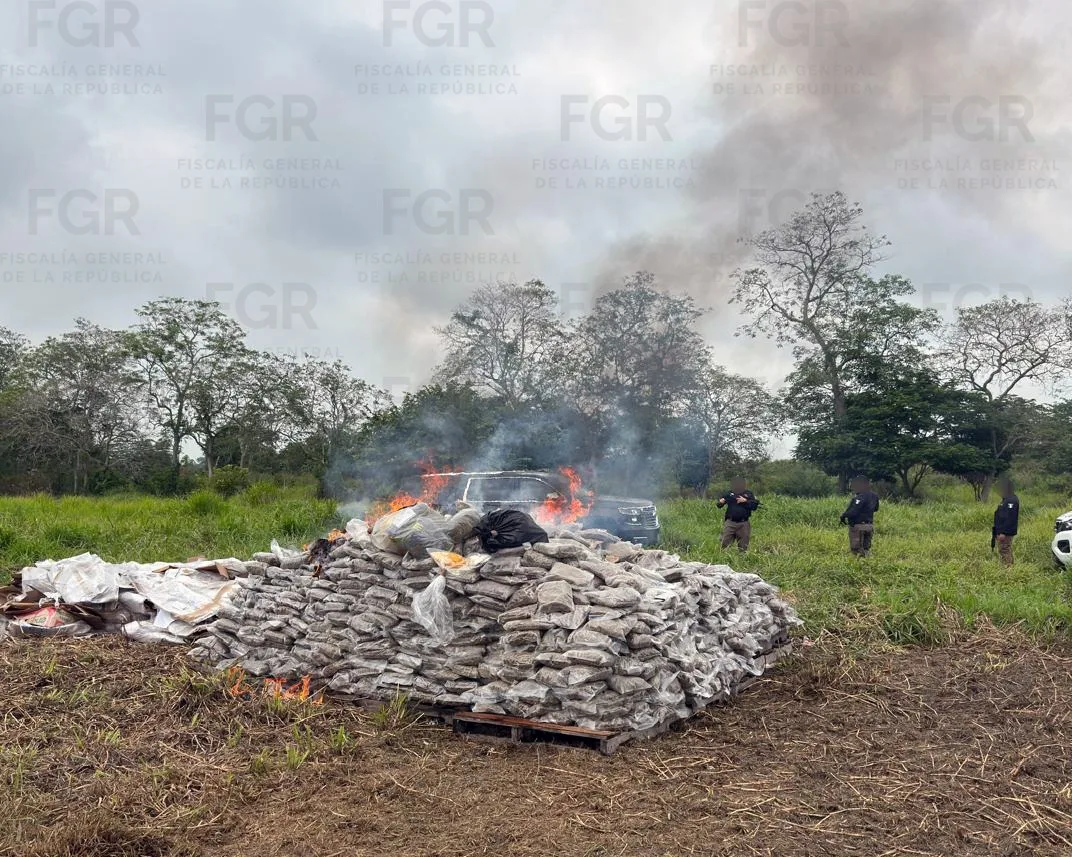 FGR destruye casi una tonelada de narcóticos en Tabasco en operativo coordinado - imagen 4