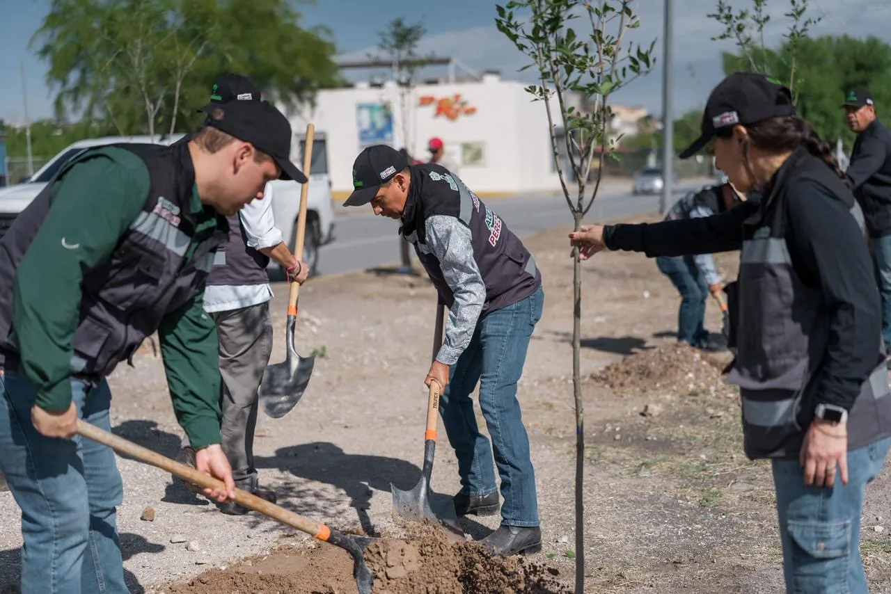 Reforestan 2.46 km del bulevar Norzagaray con 80 fresnos en Ciudad Juárez - imagen 3