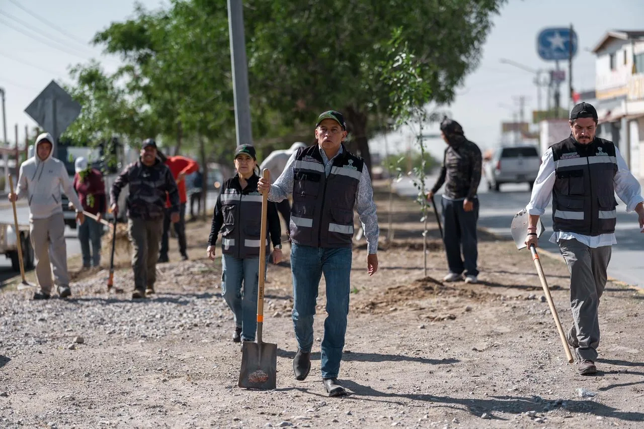 Reforestan 2.46 km del bulevar Norzagaray con 80 fresnos en Ciudad Juárez - imagen 4