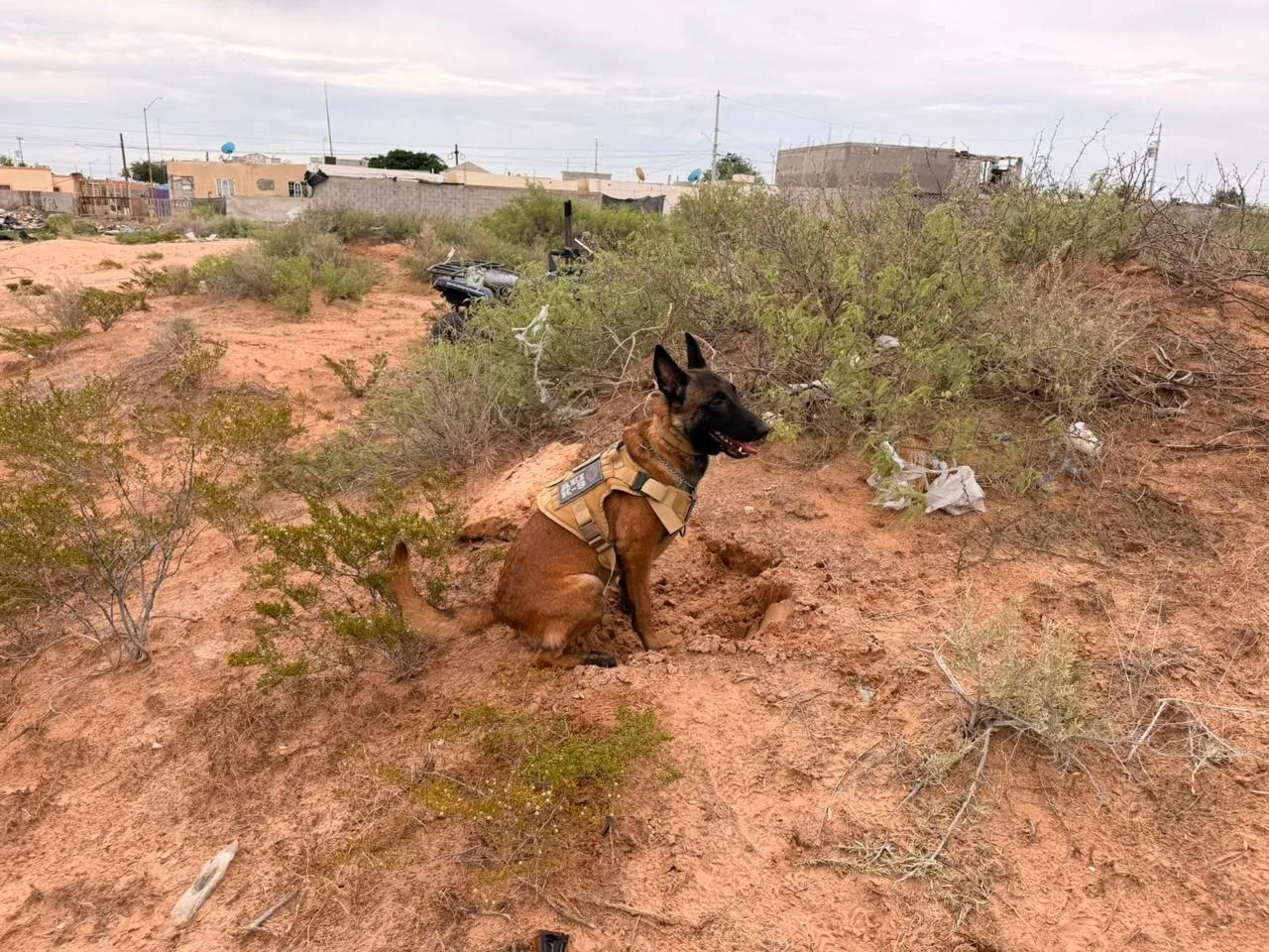 Localizan dos osamentas en fosas clandestinas de Senderos de San Isidro, en Ciudad Juárez - imagen 1