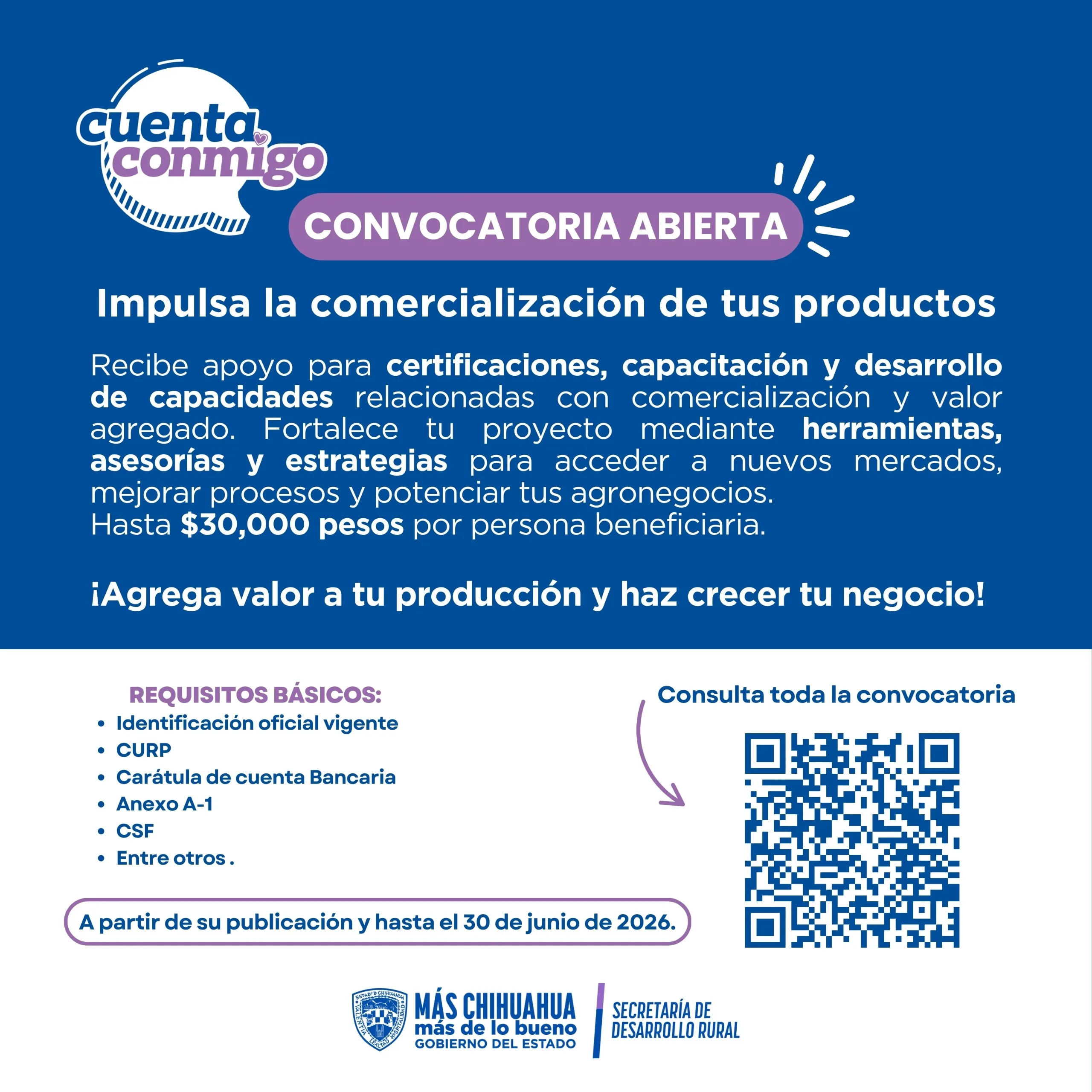 SDR ofrece apoyos de hasta 30 mil pesos para certificaciones, capacitación y acceso a nuevos mercados - imagen 1