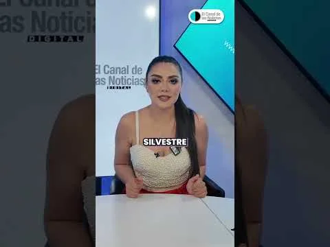 Captan a un oso negro caminando por calles del sur de Monterrey