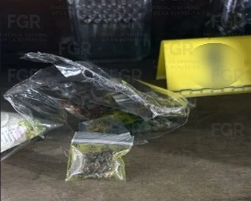 Detienen y vinculan a proceso a tres personas en Tlaxcala por delitos contra la salud y posesión de armas - imagen 6
