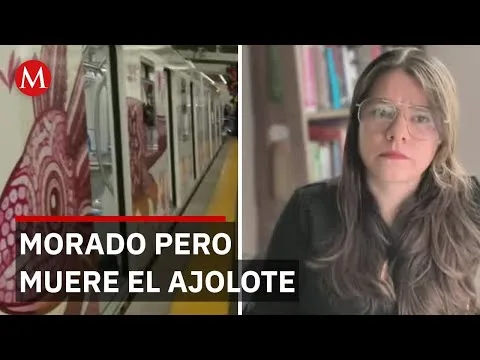 Campaña del ajolote en CDMX genera debate por impacto en hábitat y normas urbanas