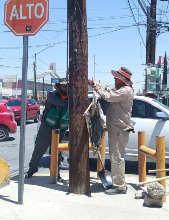 Cuadrillas de Ciudad Juárez retiran basura, llantas y escombros de avenidas principales - imagen 4