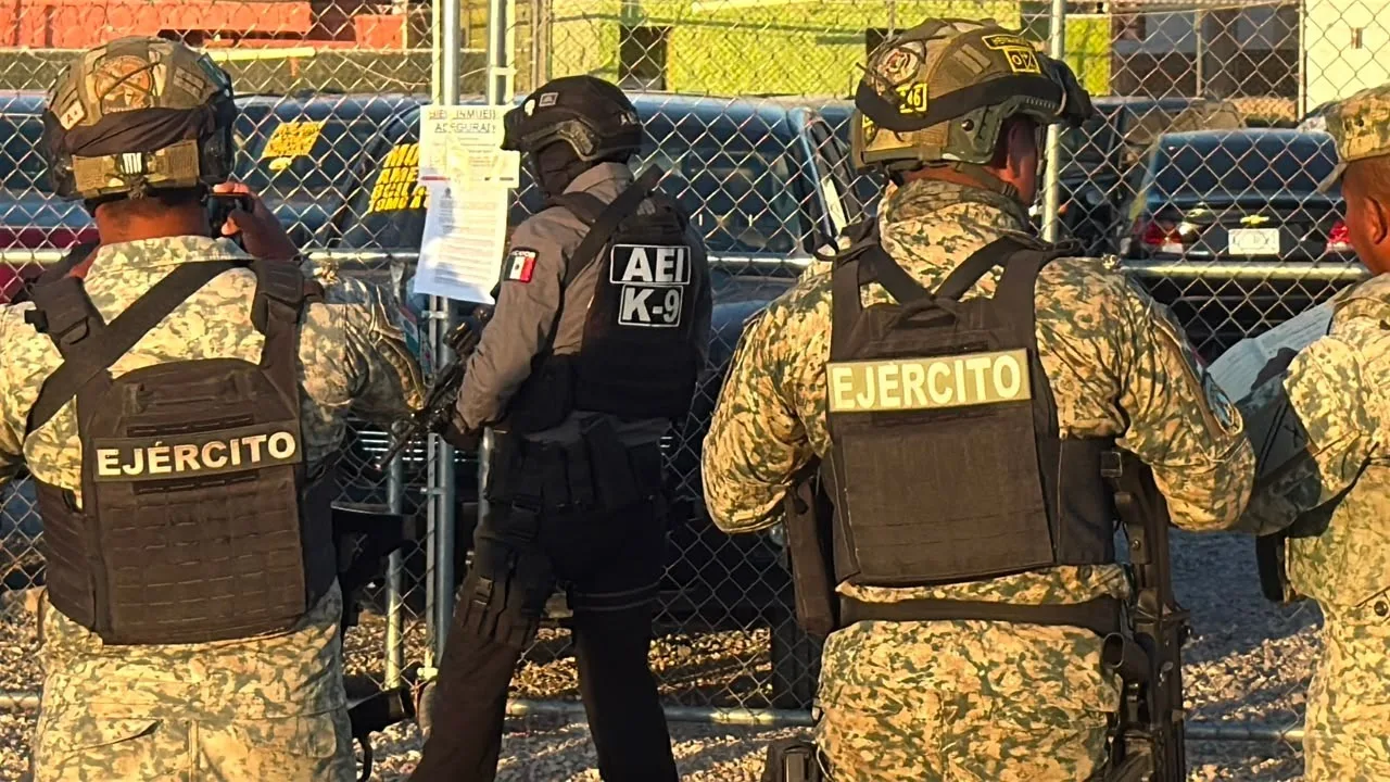 Operativo conjunto en Ciudad Juárez deja 15 detenidos y aseguramiento de armas y drogas - imagen 3