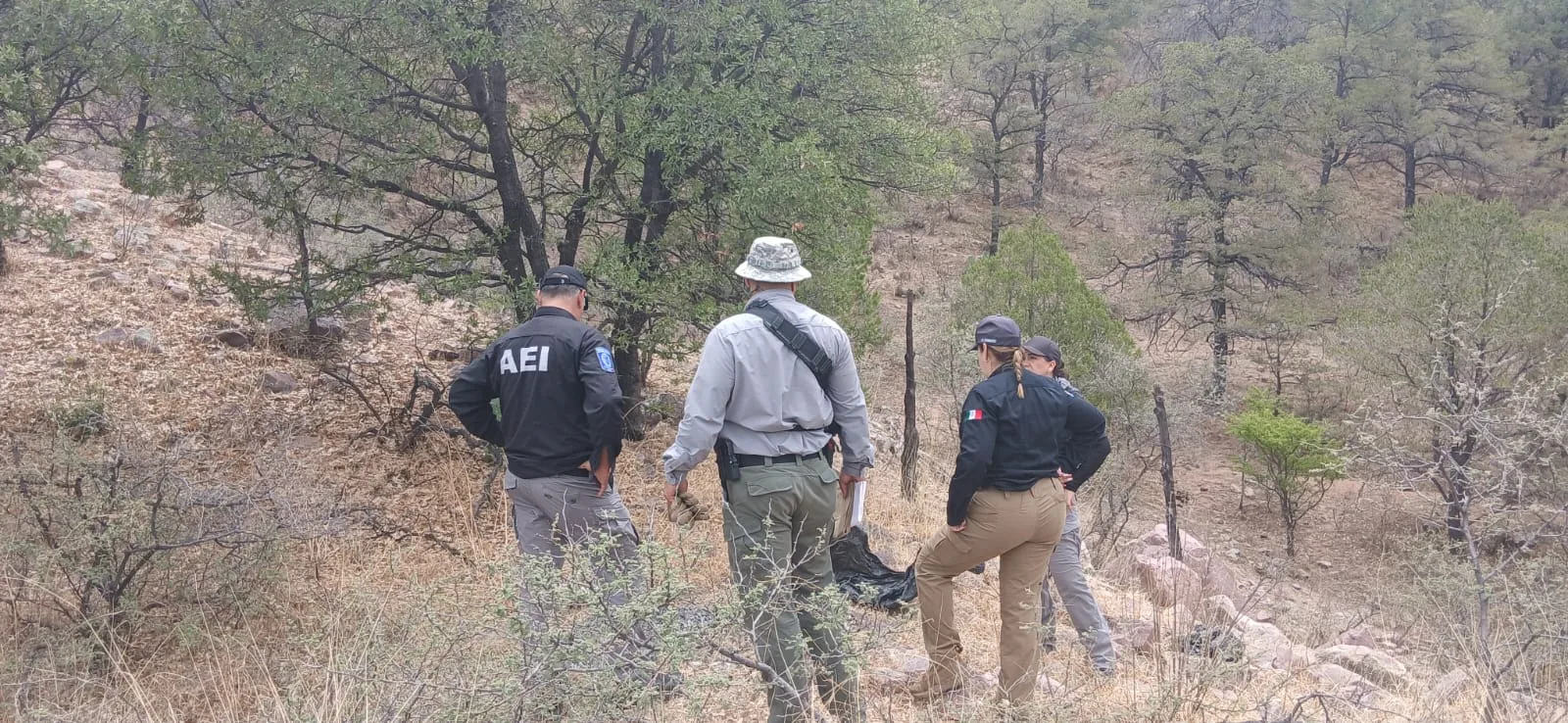 Localizan restos óseos en operativo de búsqueda en la carretera Parral-Guadalupe y Calvo